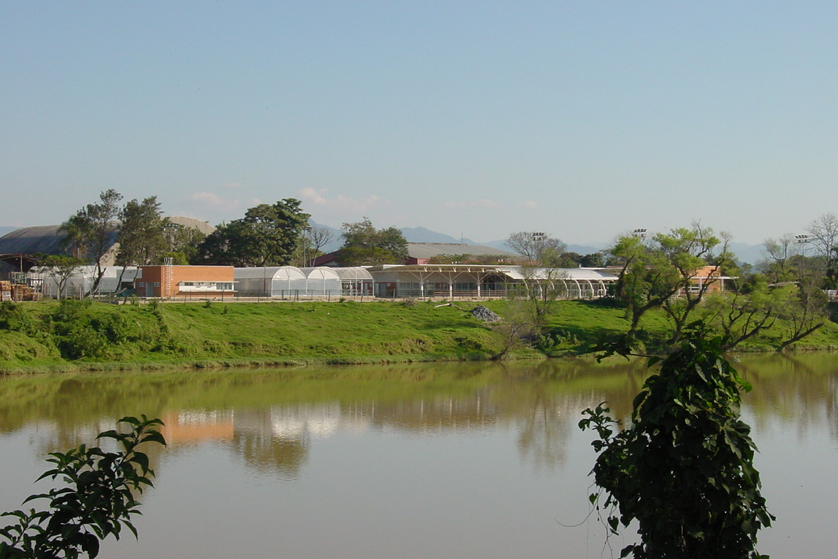 Bunge Alimentos (CDAL)